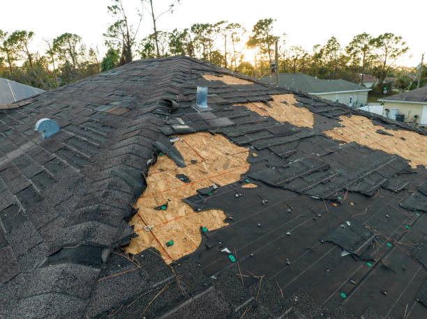 Best Metal Roofing Installation  in Blue Mound, IL